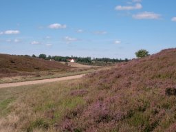 Kongenshus-Mindepark-IMGP8465